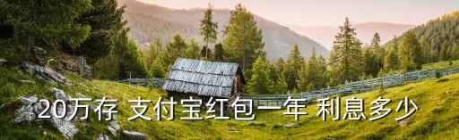 20萬(wàn)存 支付寶紅包一年 利息多少