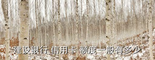 建設(shè)銀行 信用卡 額度一般有多少