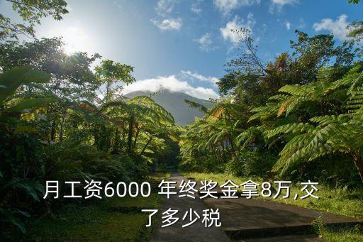 年終獎8萬交多少稅,50萬年終獎交多少稅