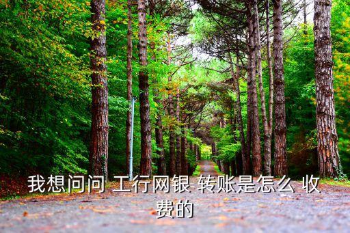 工行商友卡網(wǎng)銀轉(zhuǎn)賬收費(fèi)多少