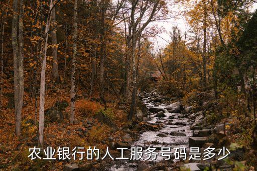  農(nóng)業(yè)銀行的人工服務(wù)號(hào)碼是多少