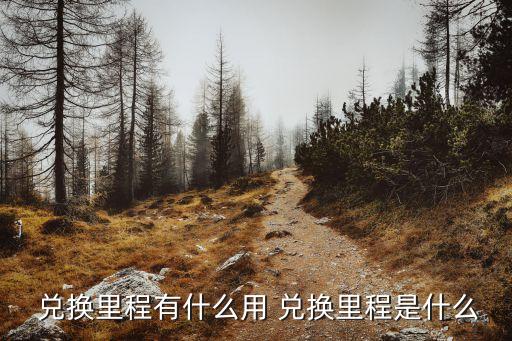  兌換里程有什么用 兌換里程是什么