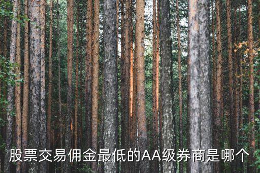 股票交易傭金最低的AA級券商是哪個