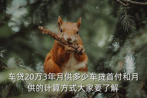 二十萬的車做分期每月還多少