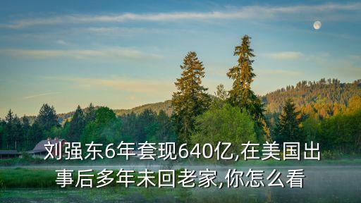 劉強(qiáng)東總資產(chǎn)多少美元,全球總資產(chǎn)有多少億美元
