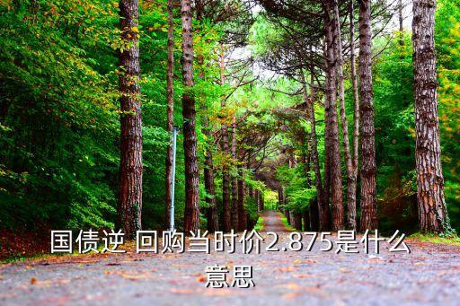 5月19日逆回購(gòu)多少錢(qián)