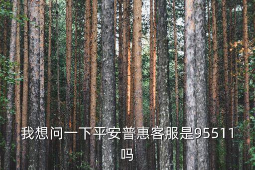 我想問一下平安普惠客服是95511嗎