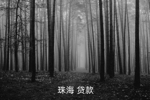 珠海有多少銀行貸款,珠海哪個銀行貸款利息最低