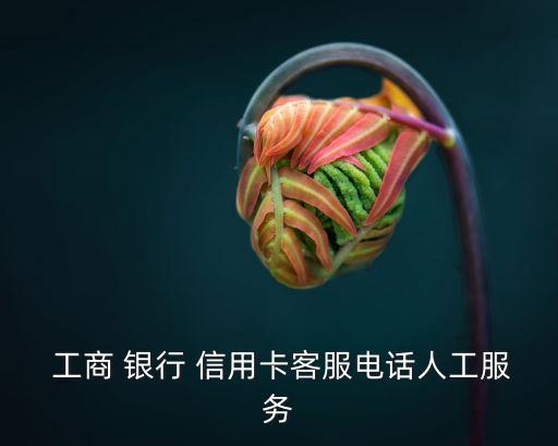  工商 銀行 信用卡客服電話人工服務(wù)