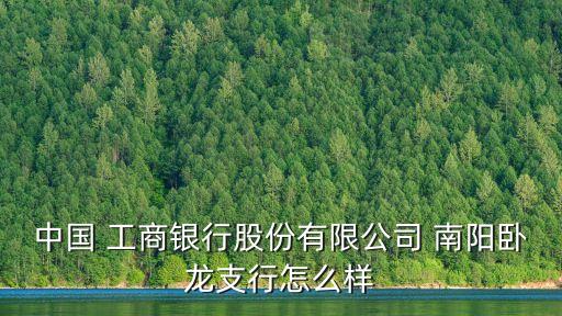 中國 工商銀行股份有限公司 南陽臥龍支行怎么樣