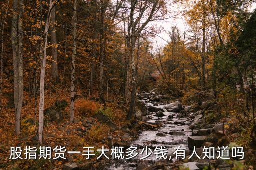 股指期貨一手大概多少錢,有人知道嗎