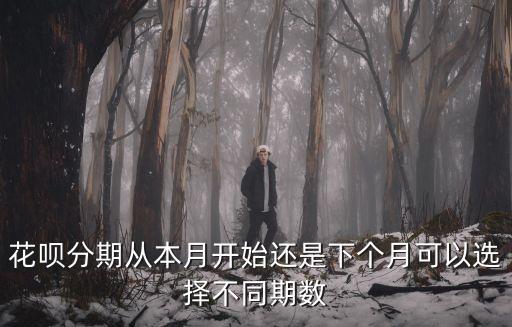 花唄分期分多少期