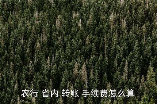 省內(nèi)農(nóng)業(yè)銀行跨行轉(zhuǎn)賬手續(xù)費是多少錢,農(nóng)業(yè)銀行省內(nèi)跨行轉(zhuǎn)賬要手續(xù)費嗎