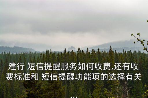 建設(shè)銀行的短信服務(wù)費(fèi)是多少錢