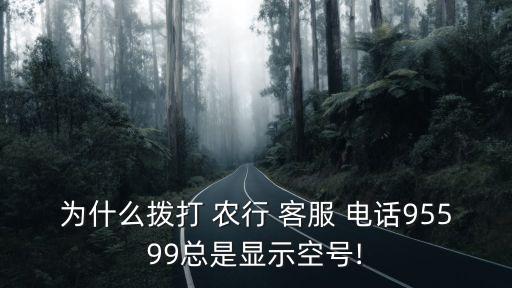 為什么撥打 農行 客服 電話95599總是顯示空號!