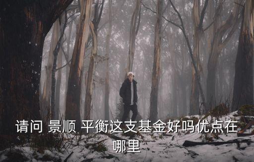 景順長城動力平衡的凈值是多少,景順動力平衡基金凈值查詢260103