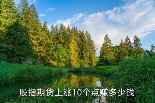 股指期貨上漲10個(gè)點(diǎn)賺多少錢(qián)