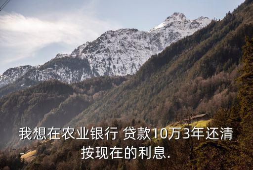 農(nóng)行貸款10萬投保多少
