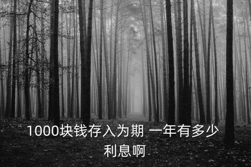 1000塊錢存入為期 一年有多少 利息啊