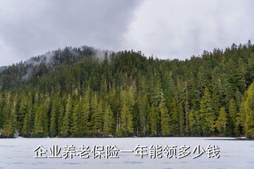 公司養(yǎng)老金以后領(lǐng)多少,每年12000養(yǎng)老金,以后能領(lǐng)多少