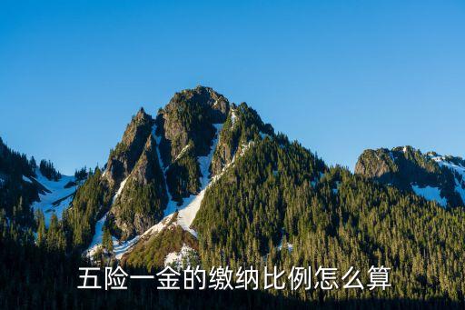 銀行五險(xiǎn)一金交多少,銀行試用期交五險(xiǎn)一金嗎