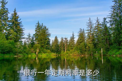 存款銀行年利率是多少錢,2022各大銀行大額存款年利率