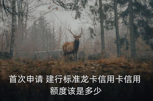 首次申請(qǐng) 建行標(biāo)準(zhǔn)龍卡信用卡信用 額度該是多少
