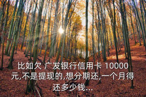 比如欠 廣發(fā)銀行信用卡 10000元,不是提現的,想分期還,一個月得還多少錢...