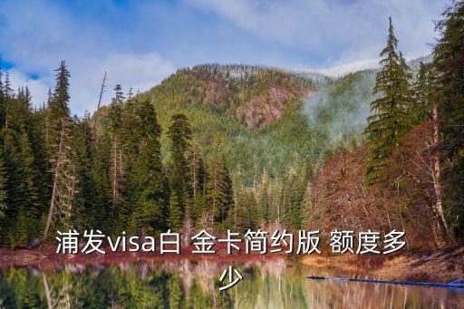 浦發(fā)銀行萬事達白金卡額度多少