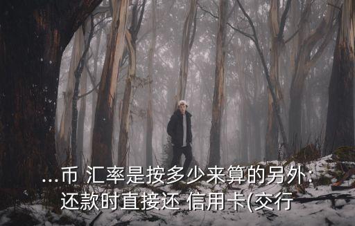 ...幣 匯率是按多少來算的另外:還款時(shí)直接還 信用卡(交行