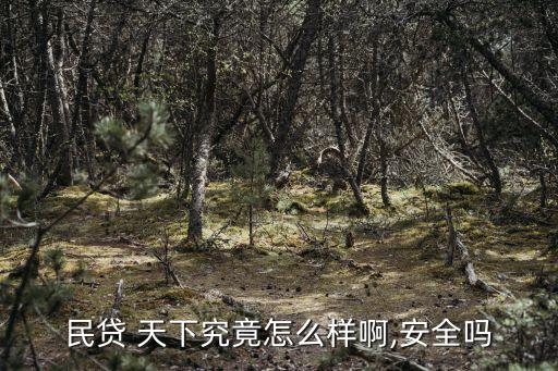民貸 天下究竟怎么樣啊,安全嗎