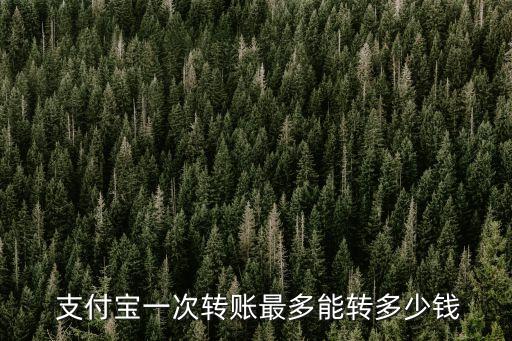 支付寶支付單筆限額是多少