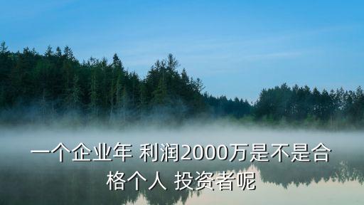 投資公司的年利潤(rùn)是多少,收到投資公司的利潤(rùn)怎么做賬
