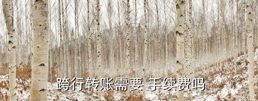  跨行轉(zhuǎn)賬需要 手續(xù)費(fèi)嗎