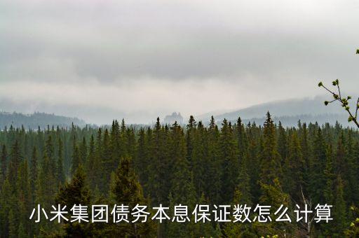 小米 債券 利息是多少,100萬債券年利息多少