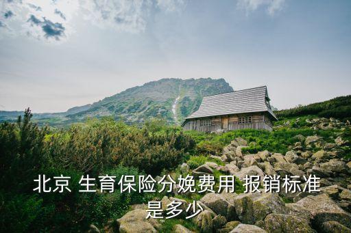  北京 生育保險分娩費用 報銷標準是多少