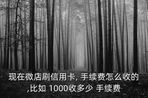 現(xiàn)在微店刷信用卡, 手續(xù)費怎么收的,比如 1000收多少 手續(xù)費