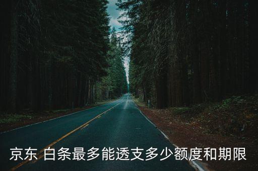 白條分期能分多少期
