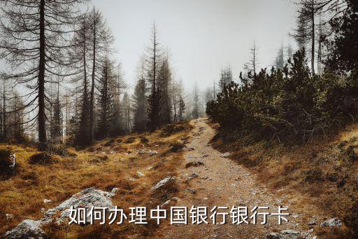 中行辦卡多少錢,中行多少錢可以辦vip