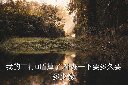 工商網(wǎng)銀u盾多少錢,工商企業(yè)網(wǎng)銀u盾密碼忘了怎么辦