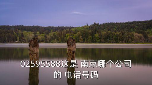 02595588這是 南京哪個公司的 電話號碼