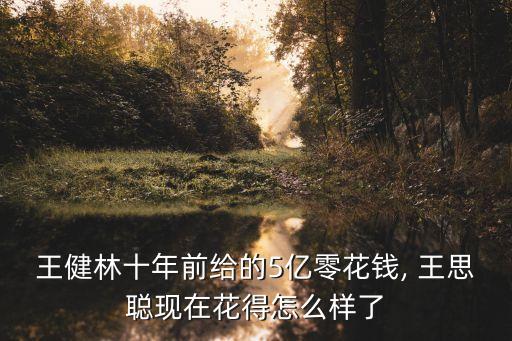 王思聰芝麻信用多少錢