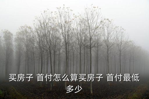 買(mǎi)房子 首付怎么算買(mǎi)房子 首付最低多少