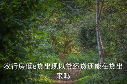 農行房低e貸出現(xiàn)以貸還貸還能在貸出來嗎