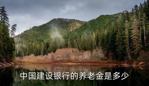 建行金ccb 100g多少錢