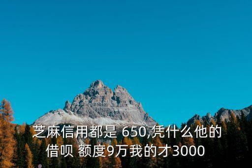  芝麻信用都是 650,憑什么他的借唄 額度9萬我的才3000