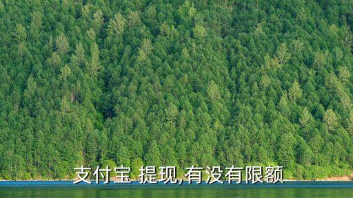  支付寶 提現,有沒有限額