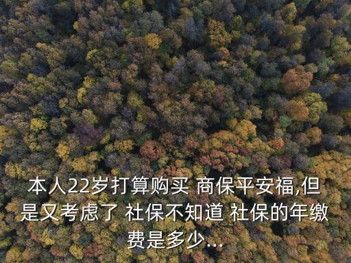 本人22歲打算購(gòu)買 商保平安福,但是又考慮了 社保不知道 社保的年繳費(fèi)是多少...