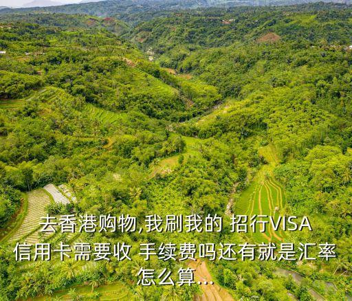 去香港購物,我刷我的 招行VISA信用卡需要收 手續(xù)費嗎還有就是匯率怎么算...