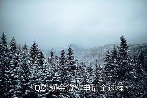 “QQ 現(xiàn)金貸”申請全過程